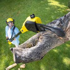 Best Aeration Services  in Level Green, PA